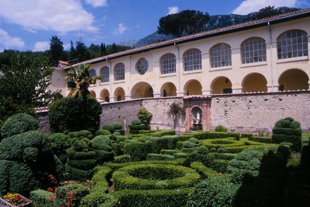 Gli Ulivi 3*